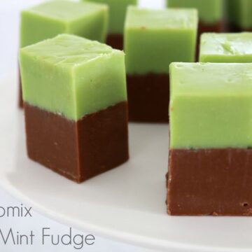 Thermomix Choc Mint Fudge