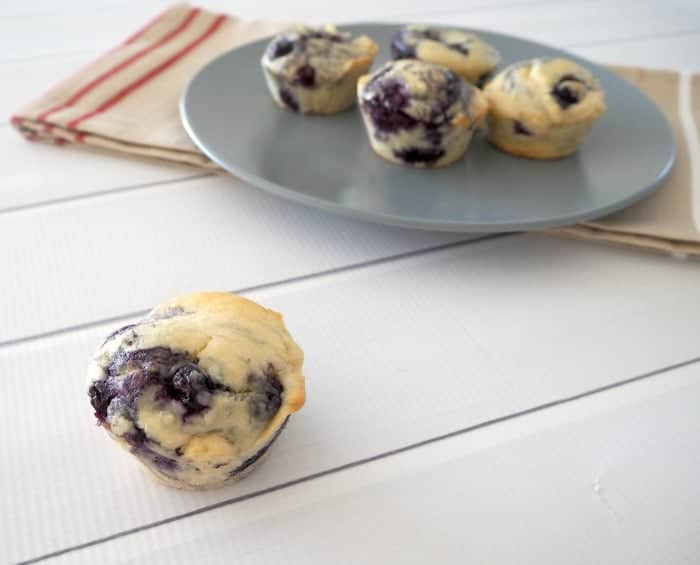 Thermomix Blueberry Muffin Recipe