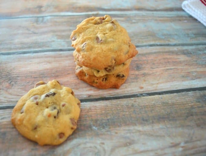 Thermomix Chocolate Chip and Raisin Cookies