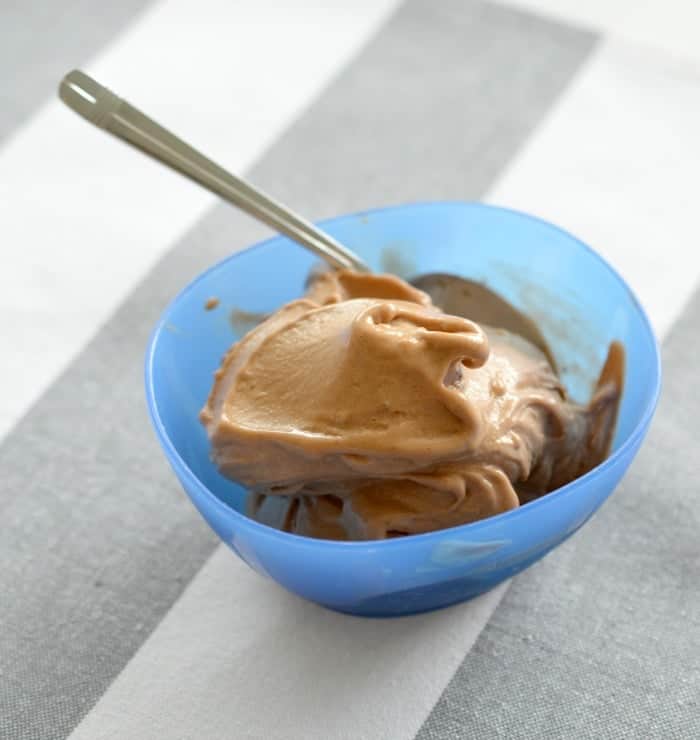 Healthy Thermomix Chocolate Ice Cream Thermobliss