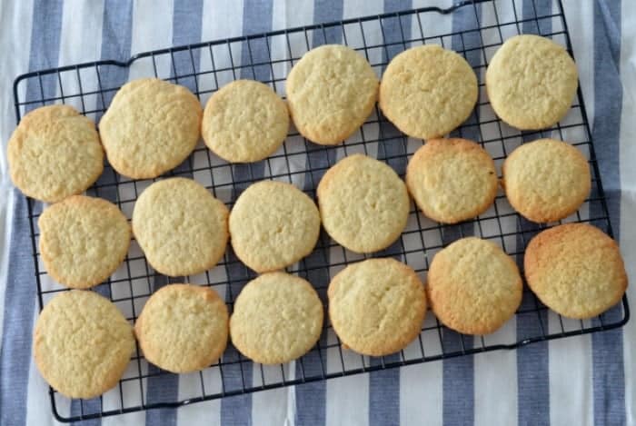 Thermomix Coconut Biscuits  Thermobliss