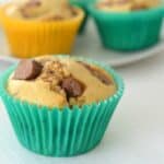 Thermomix Chocolate Chip Muffins