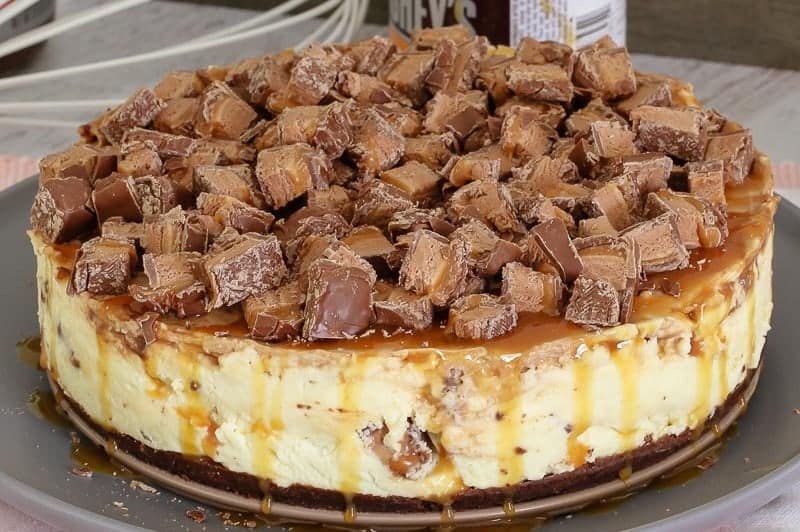 The BEST Thermomix Birthday Cakes Top 10 Thermobliss