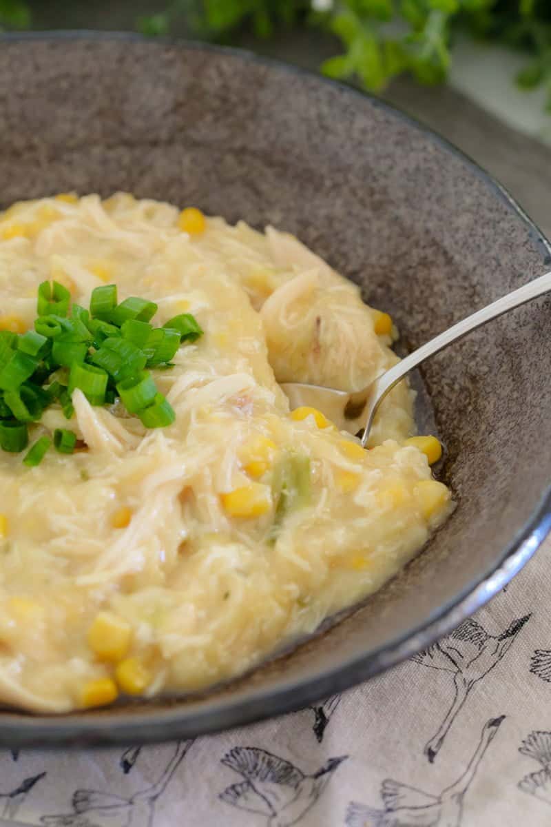 Thermomix Chicken, Noodle & Corn Soup