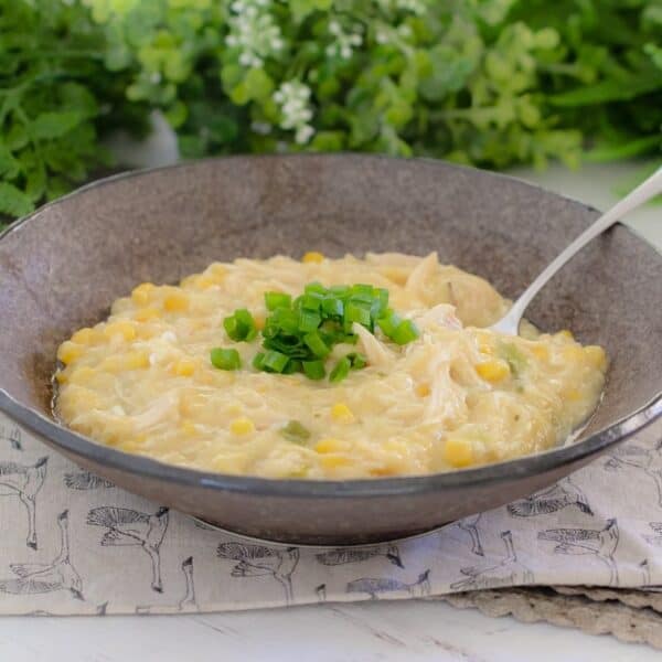 Thermomix Chicken, Noodle & Corn Soup