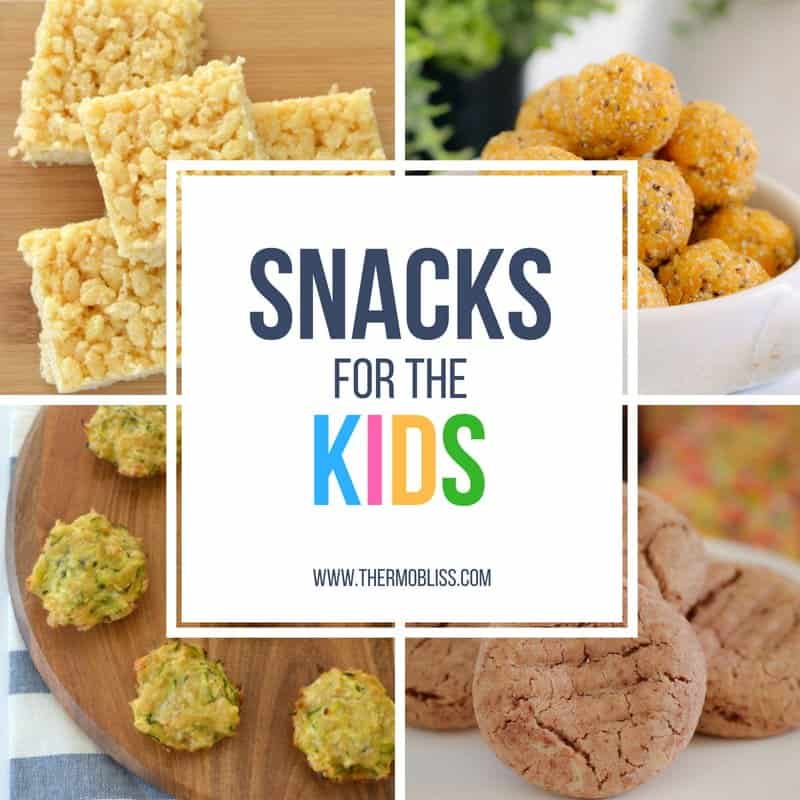 Thermomix Snacks for Kids