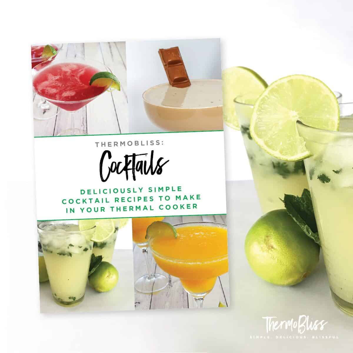 Image of the front cover of ThermoBliss Cocktails book.