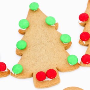 Thermomix Gingerbread