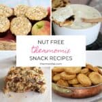 Nut Free Thermomix Snack Recipes