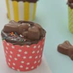 Thermomix Chocolate Bunny Cupcakes