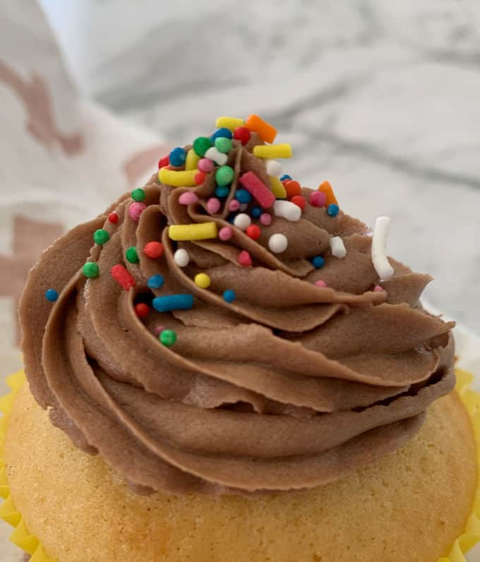 A close up of a swirl of chocolate buttercream frosting and sprinkles on top of a cupcake.