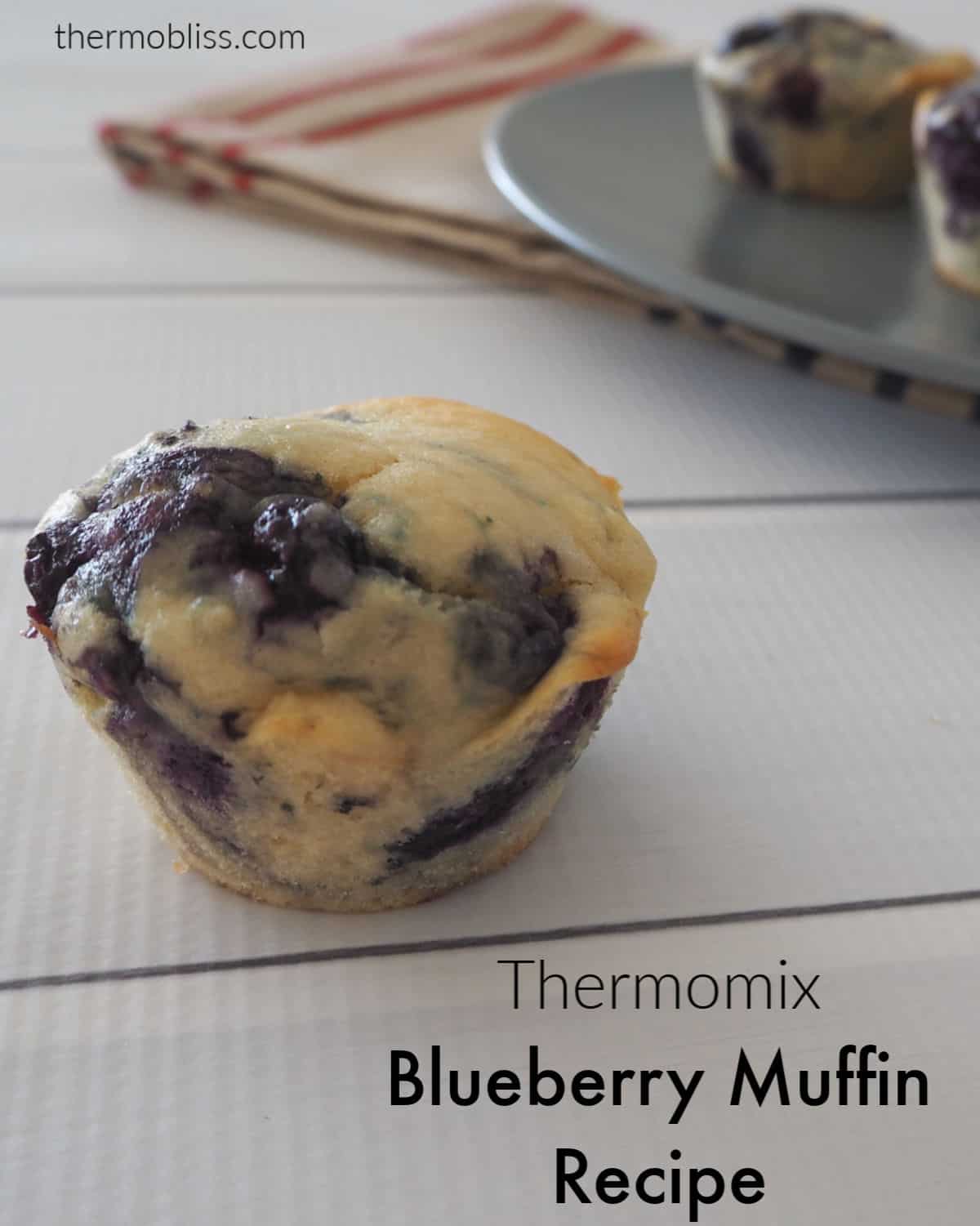 Thermomix Blueberry Muffins Thermobliss