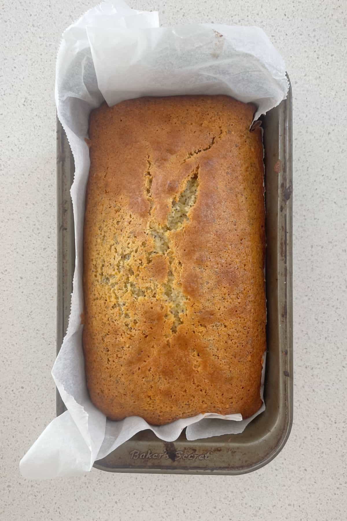 Lemon and Poppy Seed Cake straight out of the oven and in baking dish.