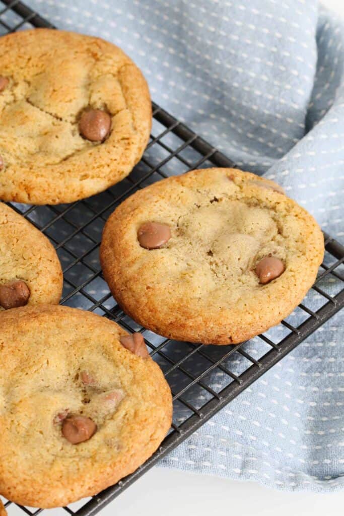 Thermomix Chocolate Chip Cookies Thermobliss