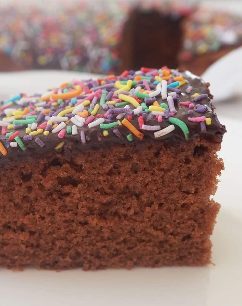 side view of a piece of chocolate cake with sprinkles and icing
