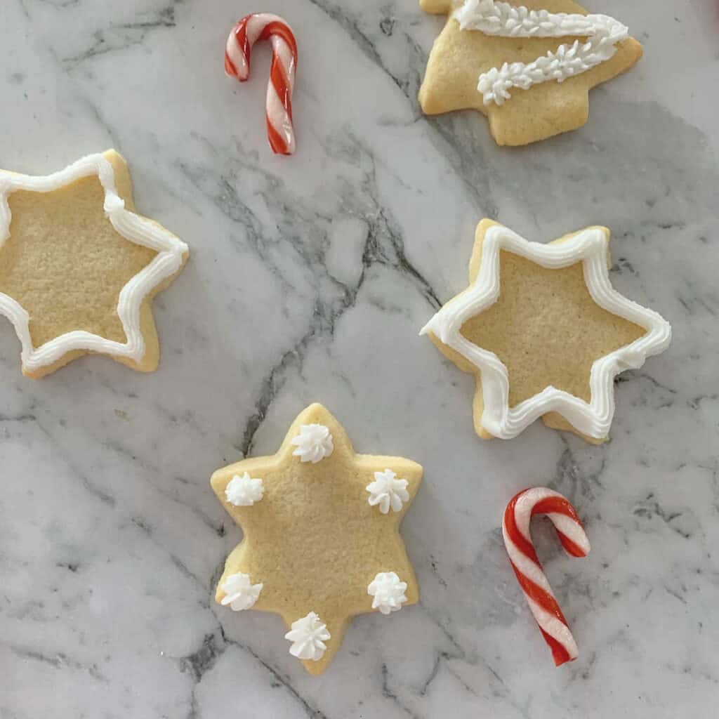 Thermomix Sugar Cookies decorated with sugar icing