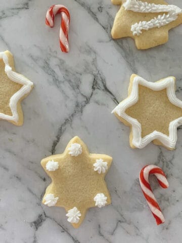 Thermomix Sugar Cookies decorated with sugar icing
