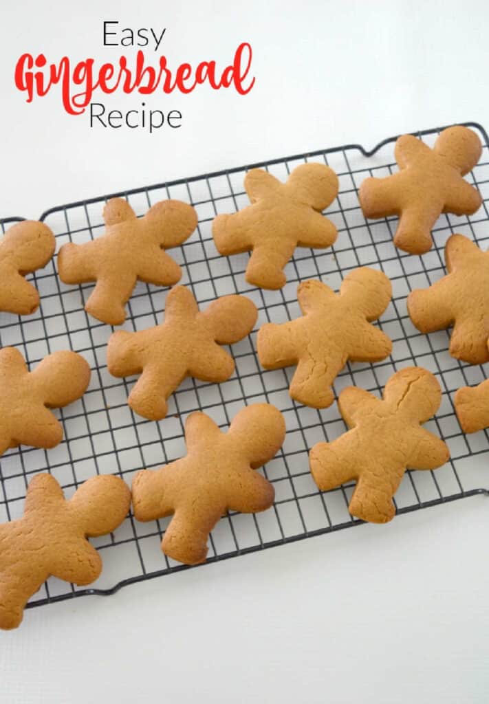 The Best Thermomix Gingerbread Recipe Thermobliss