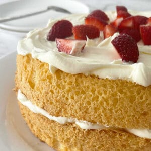 Jam and Cream Sponge on a white plate