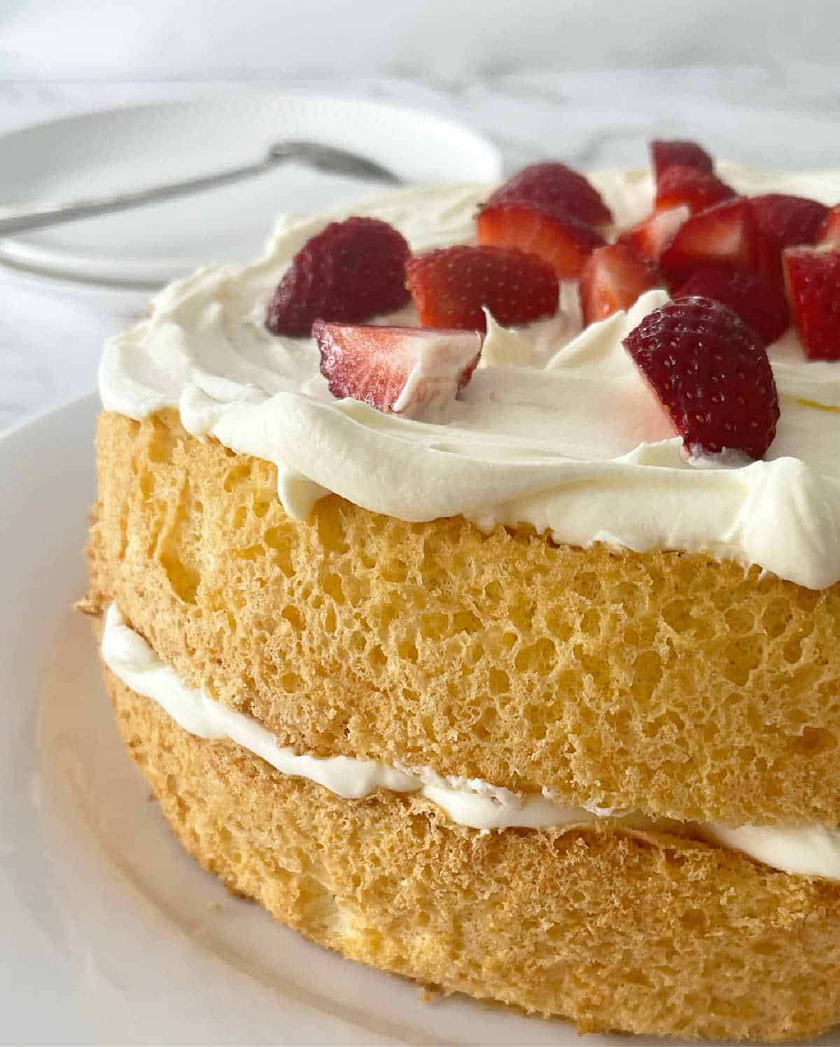 Jam and Cream Sponge on a white plate.