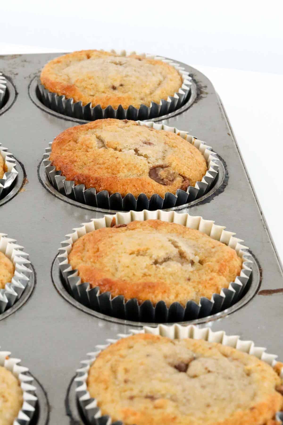 Muffins in a muffin tray.