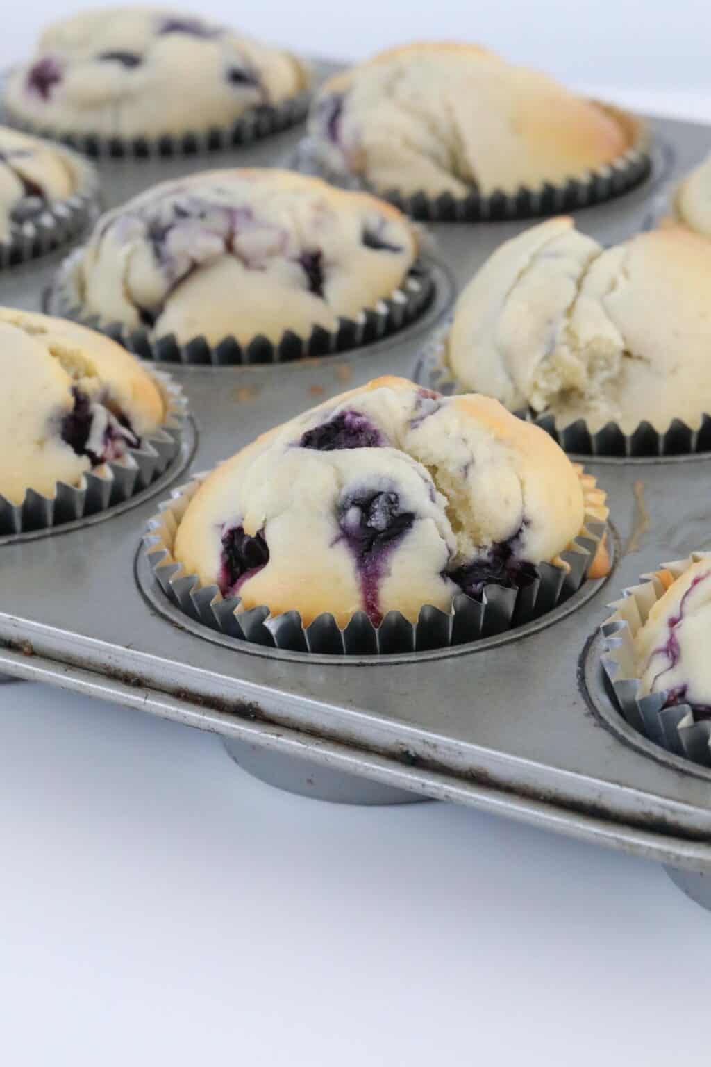 Thermomix Blueberry Muffins Thermobliss