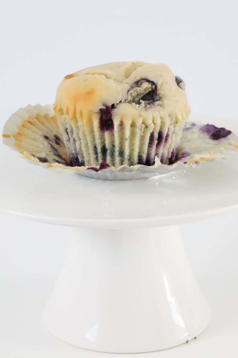 Thermomix Blueberry Muffins Thermobliss
