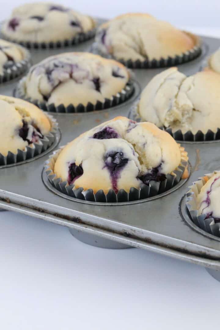 Thermomix Blueberry Muffins Thermobliss