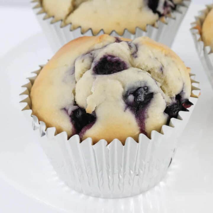 Thermomix Blueberry Muffins Thermobliss