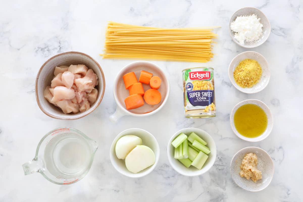 The ingredients for chicken and vegetable soup with noodles.