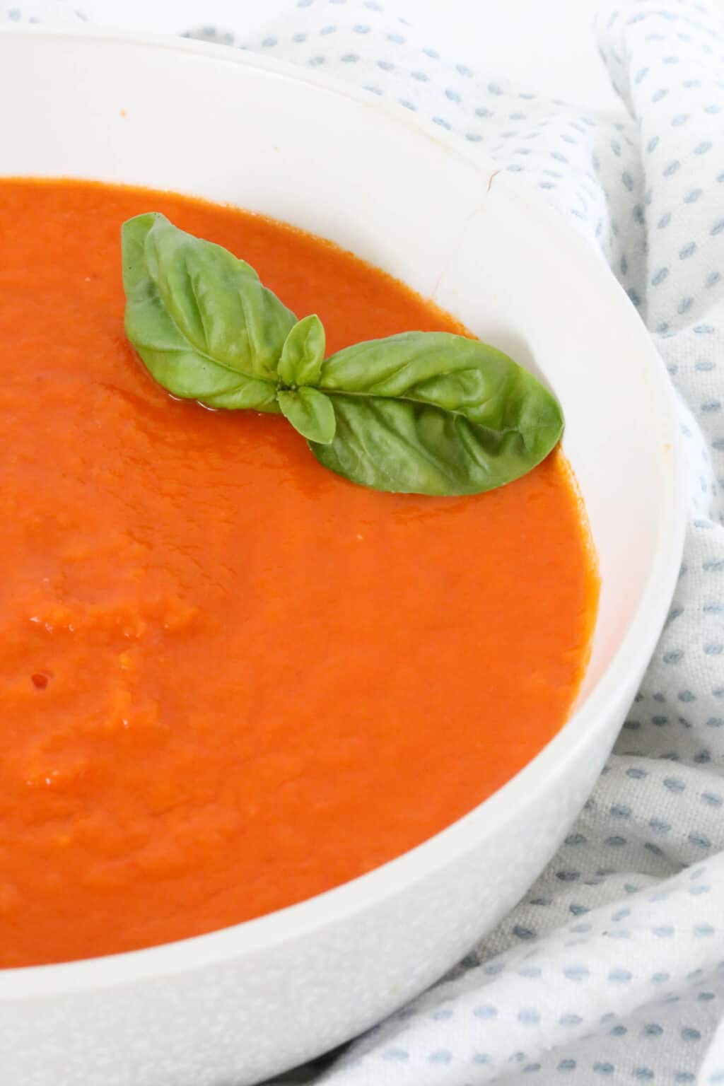 Thermomix Tomato Soup Thermobliss