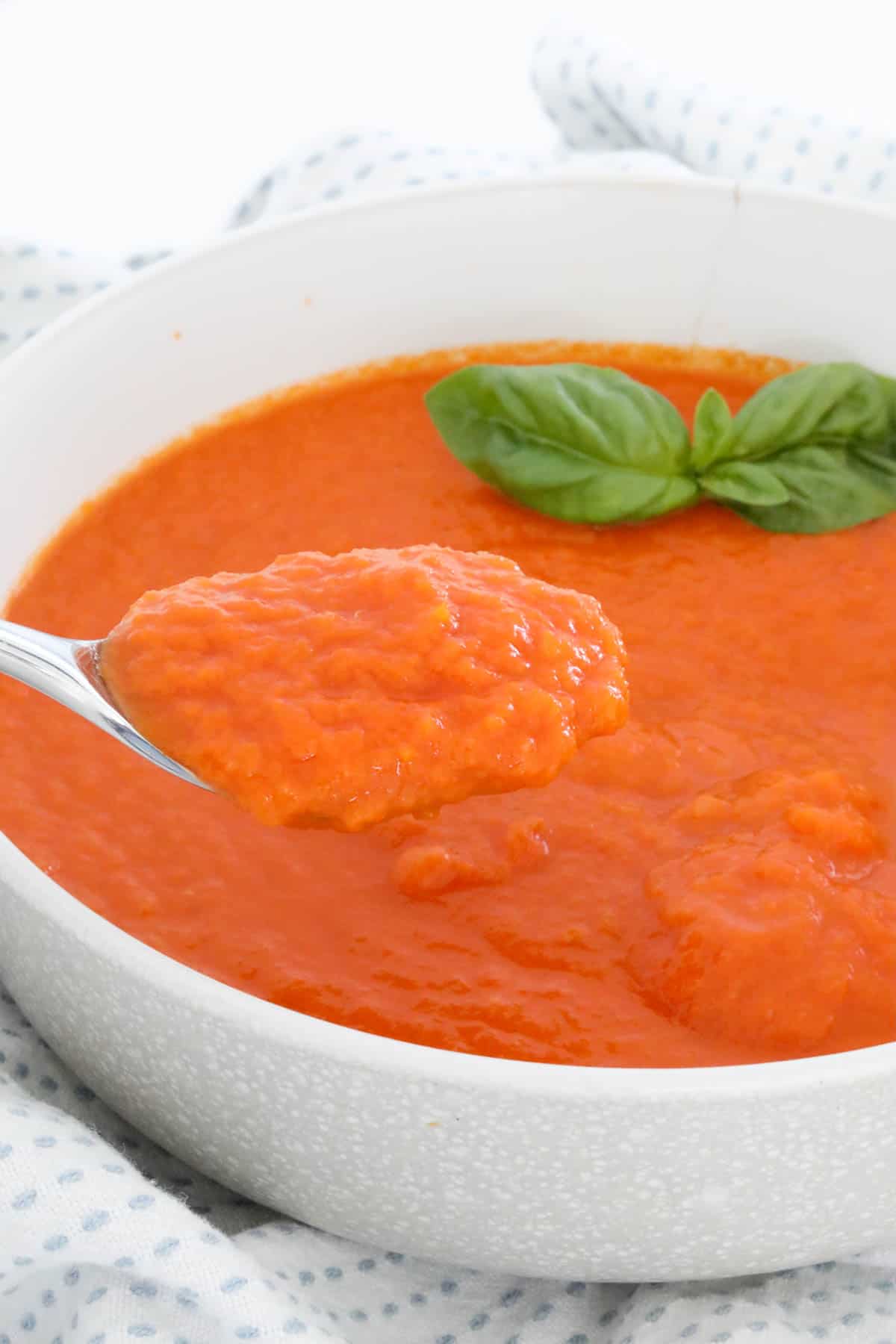 A spoonful of red vegetable soup.