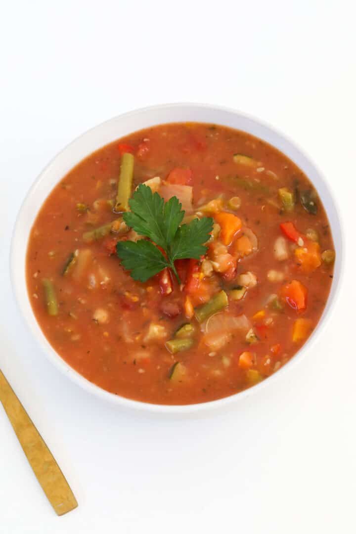 Thermomix Vegetable Soup Thermobliss