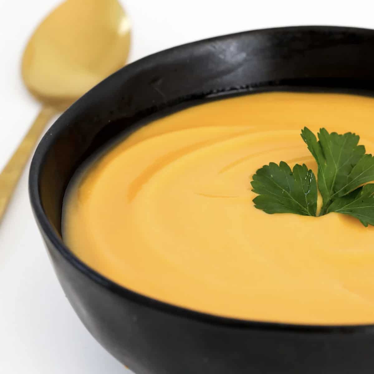 Thermomix Roast Pumpkin Soup