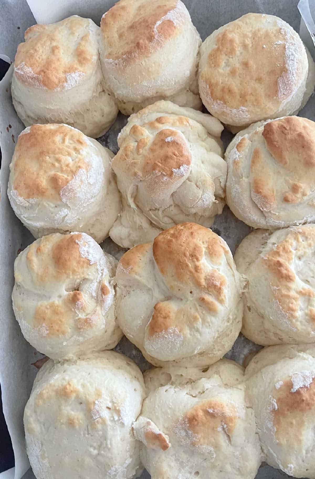 Cooked scones on a baking tray.