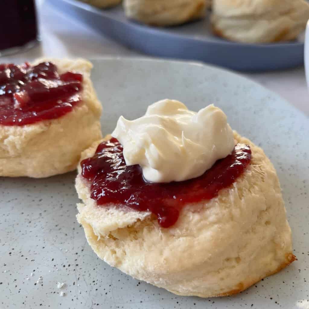 Thermomix Four Ingredient Scones - Thermobliss