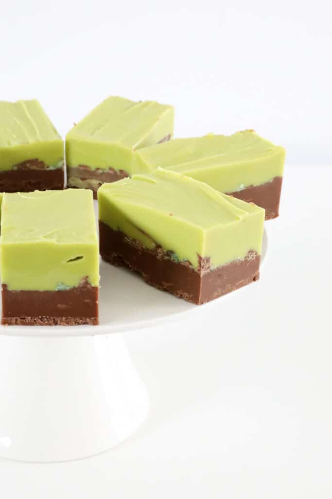 Thermomix Chocolate Mint Fudge Thermobliss