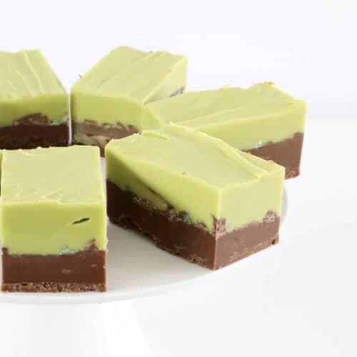 Mint on sale chocolate fudge