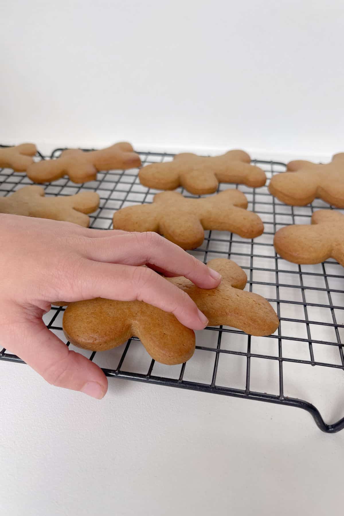 child's hand reaching for a gingerbread biscuit.