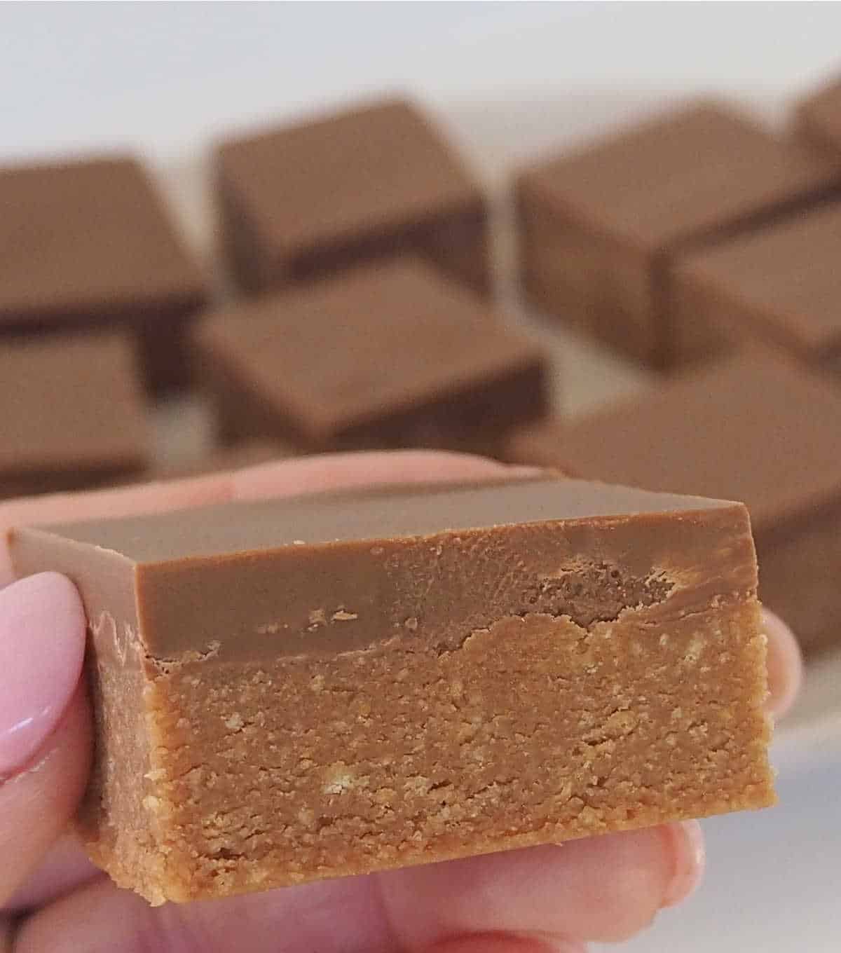 An adult hand holding a piece of Caramello slice.
