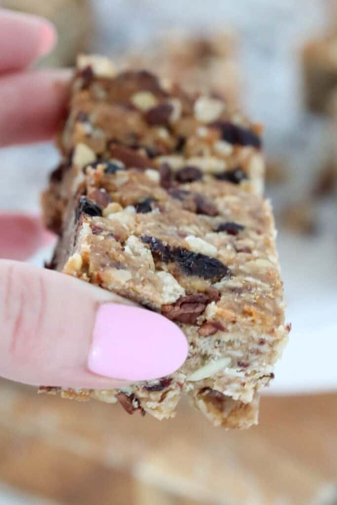 Thermomix Fruit & Nut Muesli Bars Thermobliss