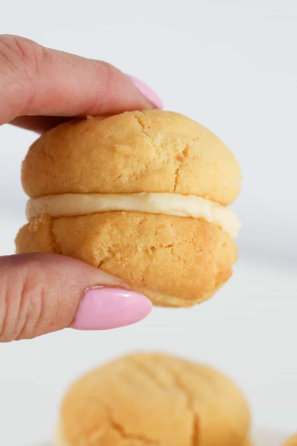 Thermomix Yo Yo Biscuits Thermobliss