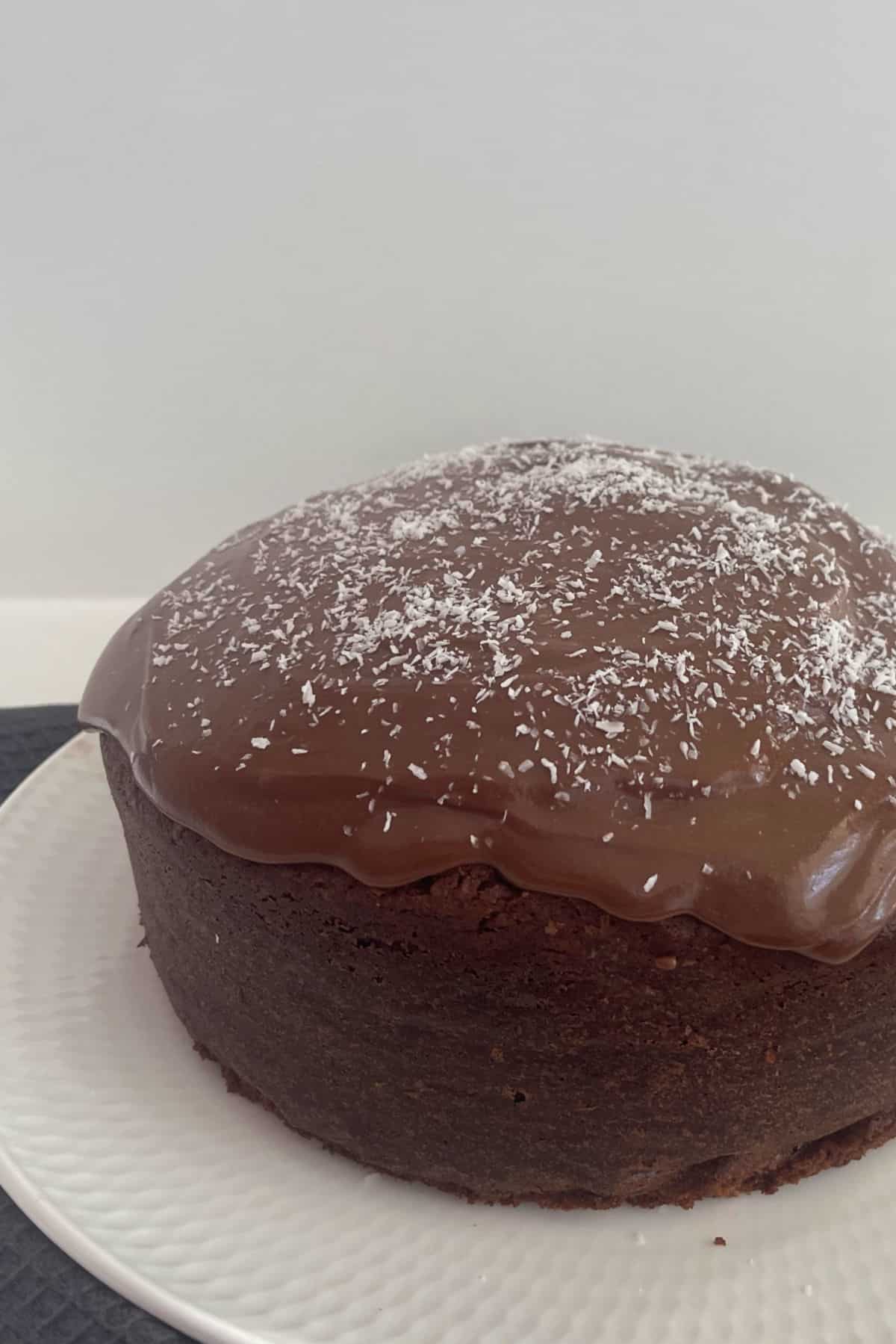 Side view of a chocolate and coconut cake on a white plate.