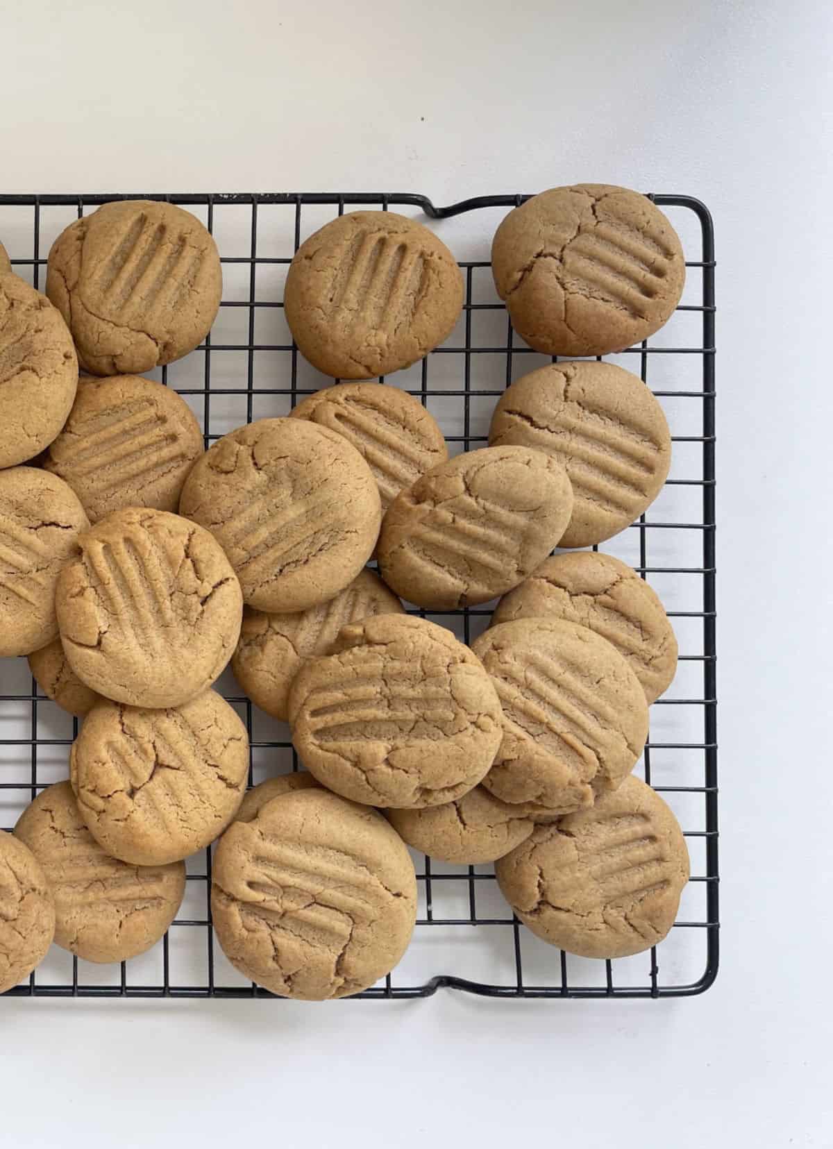 Overhead view of ginger biscuits on a black wire cooling rack.