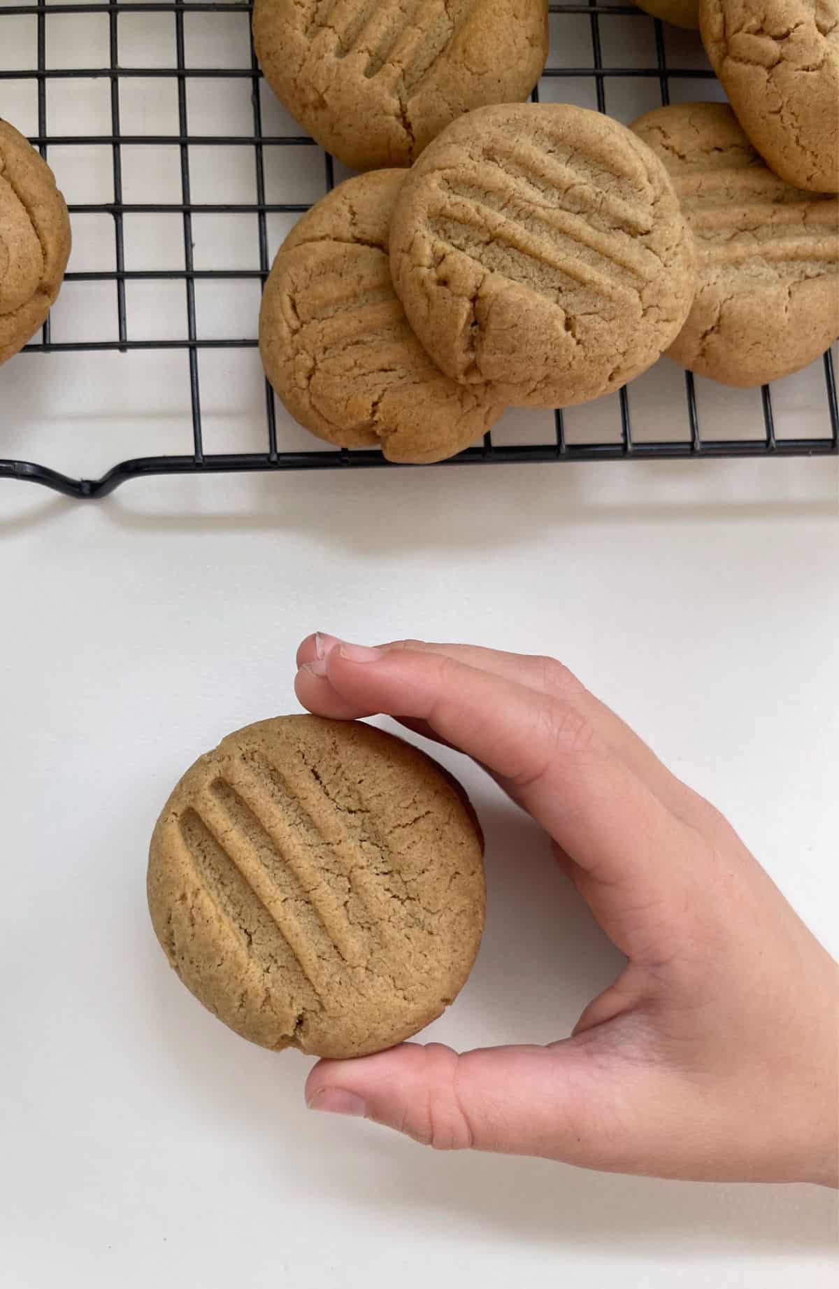Child's hand reaching for a ginger biscuit.