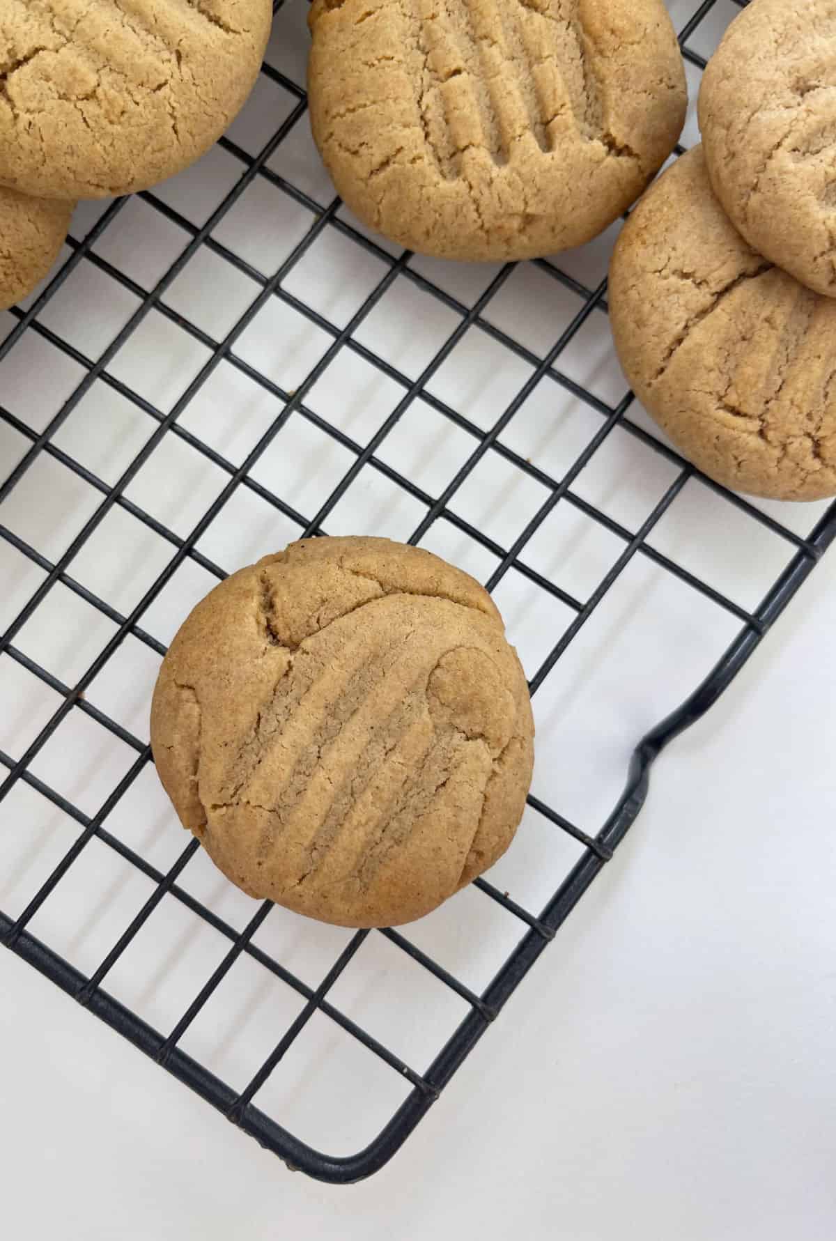 Overhead view of ginger biscuits on a black wire cooling rack.
