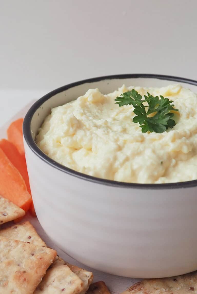 Thermomix French Onion Dip Thermobliss