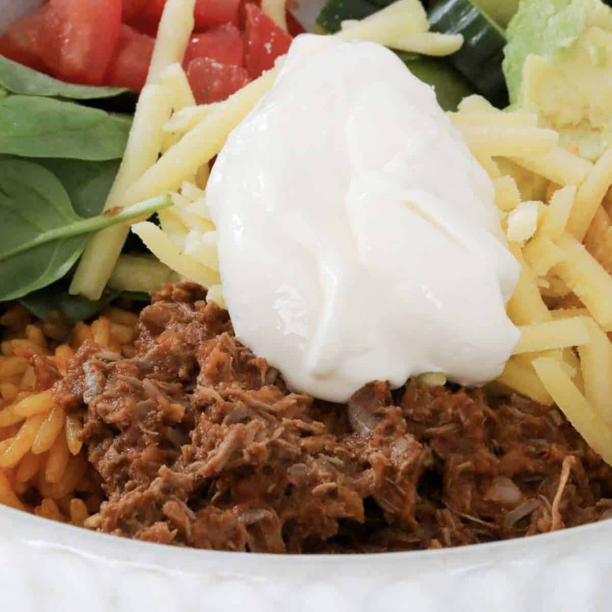 Thermomix Mexican Beef Bowls - Thermobliss