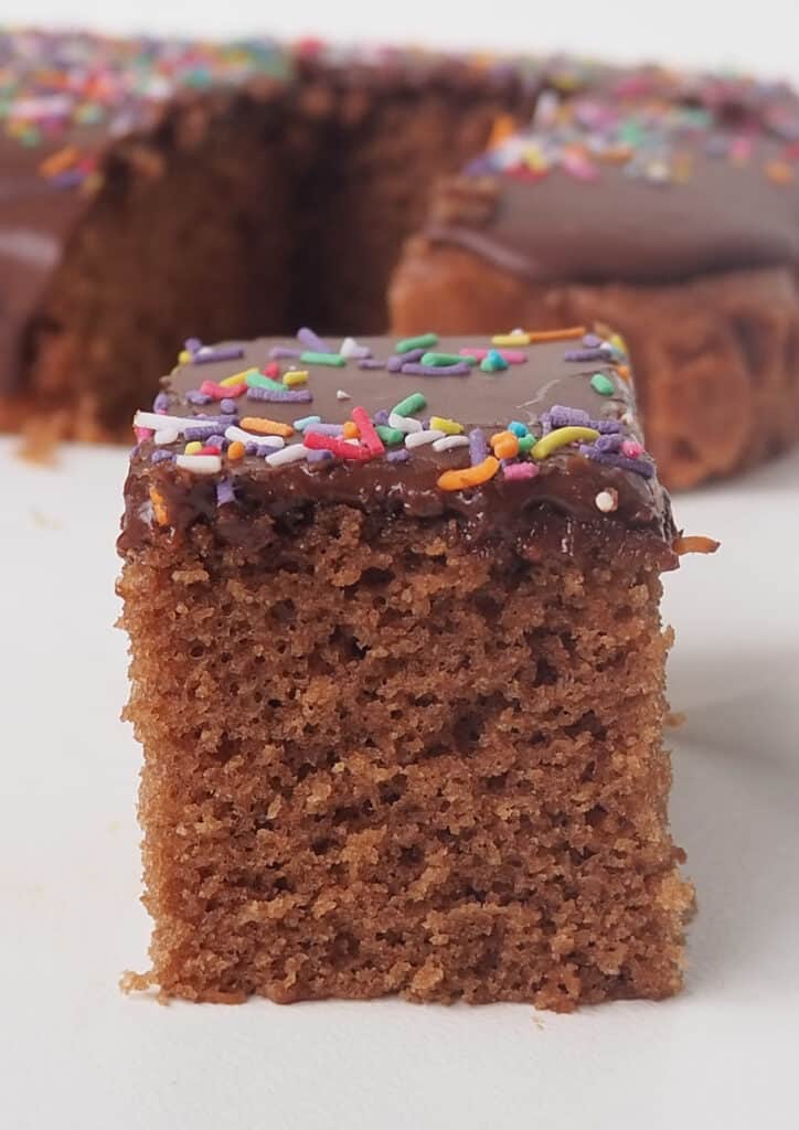 Slice of Chocolate Cake iced with chocolate icing and sprinkles.