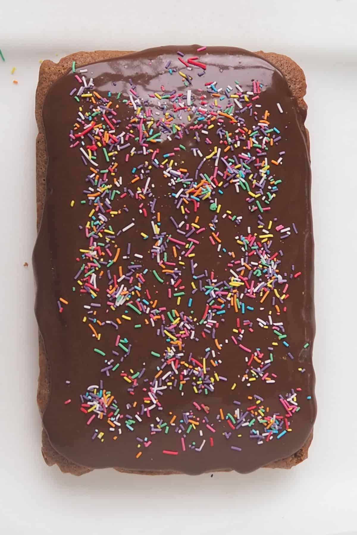 Uncut Chocolate Cake iced and decorated with sprinkles.